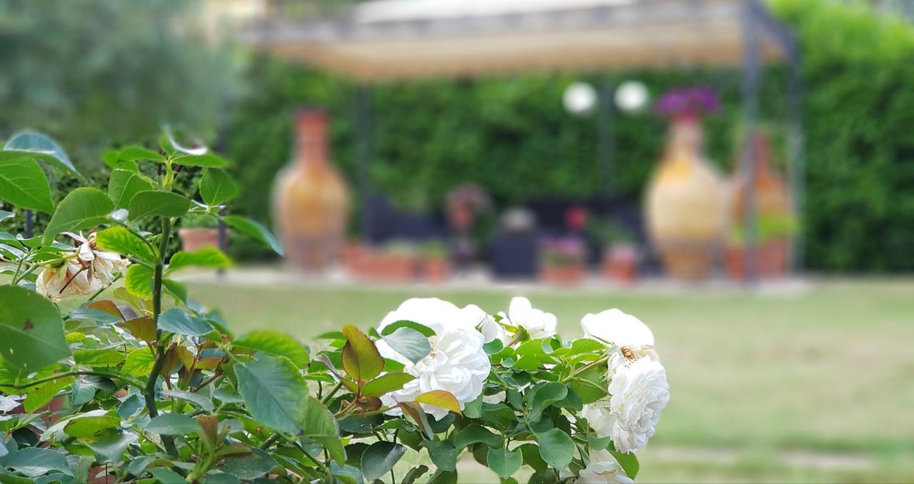 La Dimora Di Assisi Bed and Breakfast Palazzo  Buitenkant foto